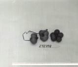 Click for 1 image(s) for this accession. FRUIT